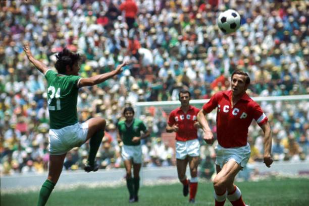 提升中国女 提升中国女